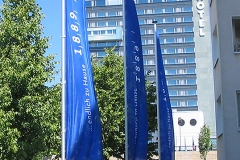 Fahne_VereinigteWohnst