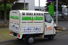 FZ_Loesch1