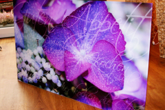 Glasbild Blüte