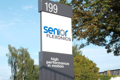 Senior-Tag