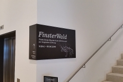 Finsterwelt