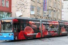 KVG_Blutbahn