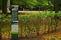 Wandlitz4