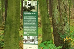 Wandlitz7